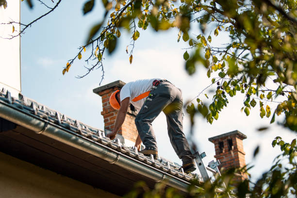 Fast & Reliable Emergency Roof Repairs in Allegan, MI